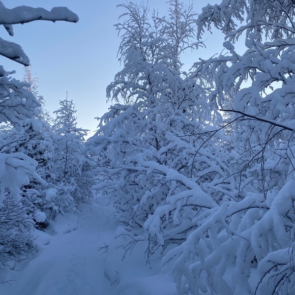 Meet your Posher, Cynthia - Picture 1 of 1